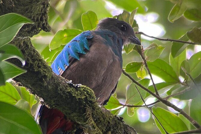 Monteverde Cloud Forest Nature Tour - FAQs