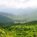 Monteverde Cloud Forest Reserve Guided Walk - Why This Tour Offers Great Value