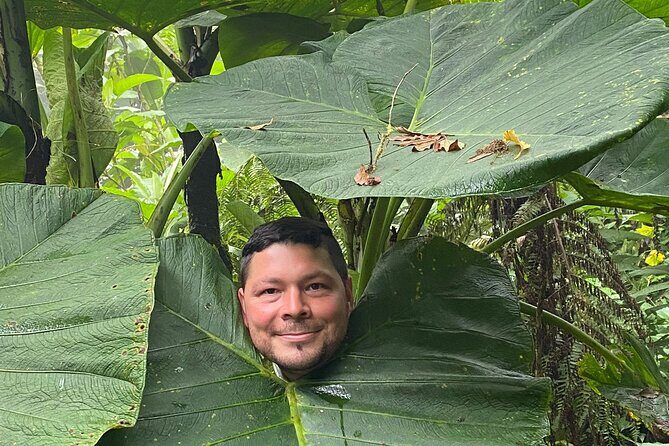 Monteverde Cloud Forest Tour - The Sum Up: Who Will Love This Tour?