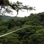 Monteverde Cloud Forest Ziplines Canopy Tour - The Experience Itself: From Safety to Excitement