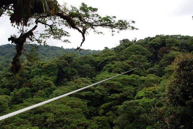 Monteverde Cloud Forest Ziplines Canopy Tour - The Experience Itself: From Safety to Excitement
