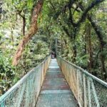 Monteverde Hanging Bridges Day Trip from San Jose - Conclusions