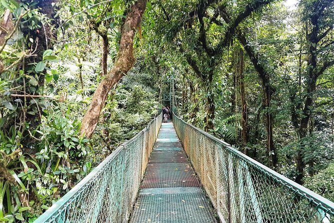 Monteverde Hanging Bridges Day Trip from San Jose - Conclusions