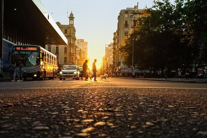 Montevideo private city tour with dinner included and tango show - Who Would Love This Tour?