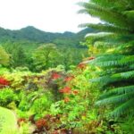 Montreal Gardens Tour with Trubb Taxi Tours - Frequently Asked Questions