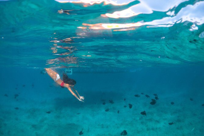 Morning Half Day Cruise from Providenciales with Snorkeling and Iguana Island - Final Thoughts