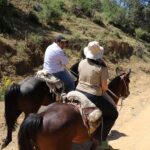 Mostazal: Rural Tour, Horseback Riding in the foothills of the Andes Mountains - An In-Depth Look at the Mostazal Rural Tour