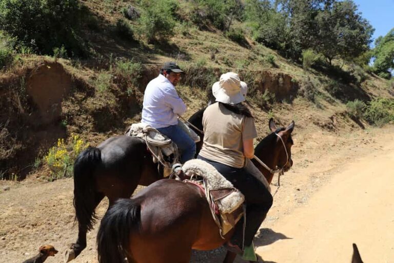 Mostazal: Rural Tour, Horseback Riding in the foothills of the Andes Mountains - An In-Depth Look at the Mostazal Rural Tour