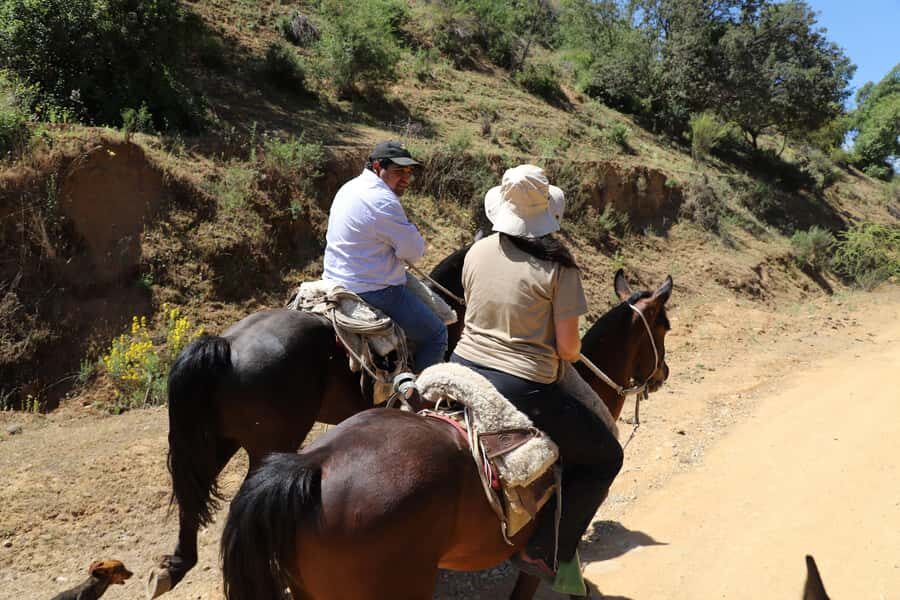 Mostazal: Rural Tour, Horseback Riding in the foothills of the Andes Mountains - An In-Depth Look at the Mostazal Rural Tour