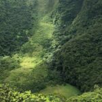 Mount Liamuiga Volcano Hike St Kitts Highest peak - The Value for Your Dollar