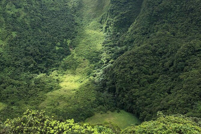 Mount Liamuiga Volcano Hike St Kitts Highest peak - The Value for Your Dollar