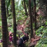 Mount Liamuiga Volcano Tours - Who Should Consider This Tour?