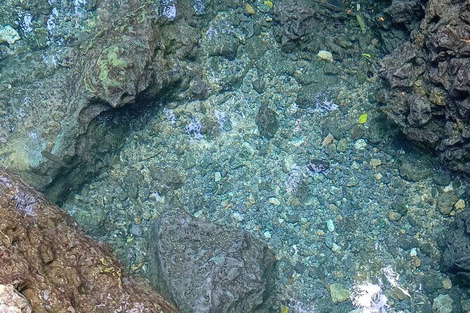 Mountain Bike tour to a Pristine Spring and Cave - Discovering Tortuguero Mountain Bike Park and Its Secrets