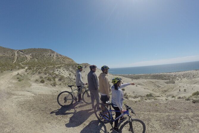 Mountain Biking and Sea Lion Watching in Puerto Madryn - A Closer Look at the Itinerary and What to Expect