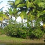 mountain horse back riding - Detailed Breakdown of the Experience