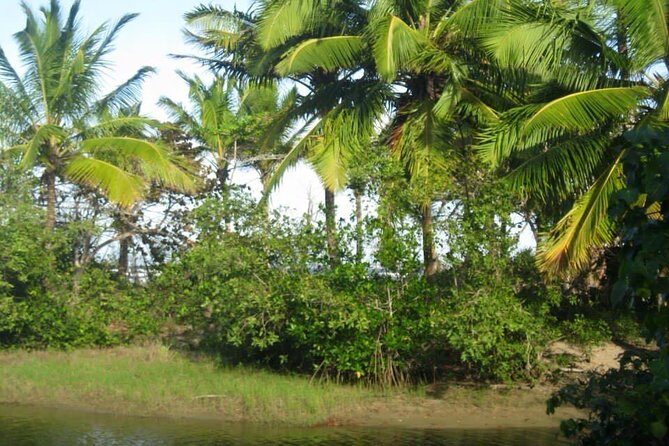 mountain horse back riding - Detailed Breakdown of the Experience