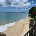 Mouthwatering Foodie Drive Tour in Barbados - The Practicalities: Transportation, Timing, and Flexibility