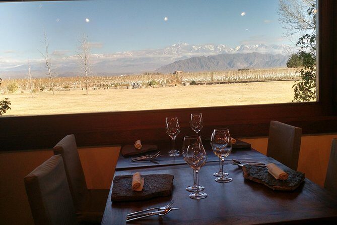 MTB - A tour of the wineries and their vineyards - Why This Tour Offers Great Value