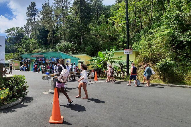 Mud bath and Waterfall with Snorkeling at Sugar beach - FAQs