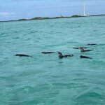 Multi Day Tour Around Galápagos Islands - Who Is This Tour Best For?