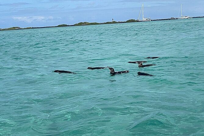 Multi Day Tour Around Galápagos Islands - Who Is This Tour Best For?