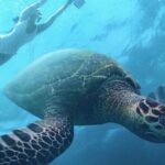 Multi-Day Underwater Sea Scooter Adventure with Free Delivery - The Sum Up