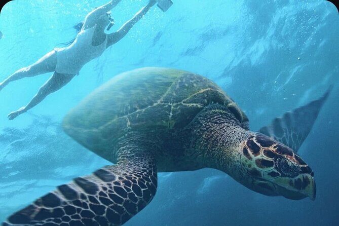 Multi-Day Underwater Sea Scooter Adventure with Free Delivery - The Sum Up