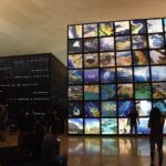 Museum of Tomorrow, AquaRio & Olympic Boulevard in Rio de Janeiro - FAQs