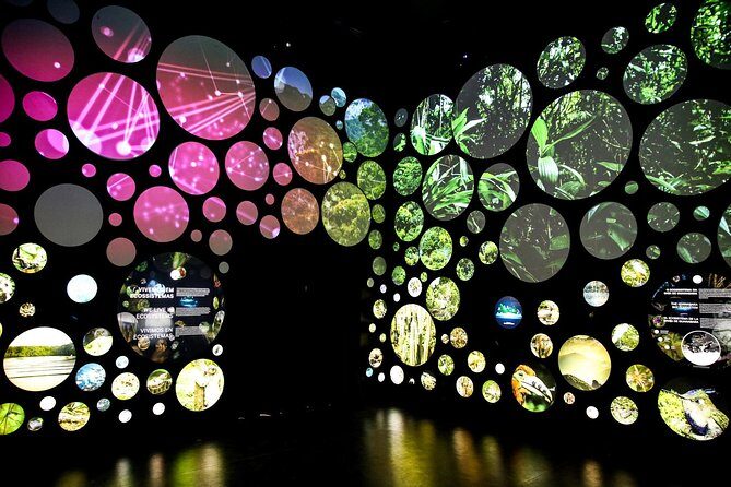 Museum of Tomorrow Guided Tour, Admission & Transfer - Final Thoughts