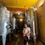 Must-sees of the Elqui Valley - Practical Aspects and Value