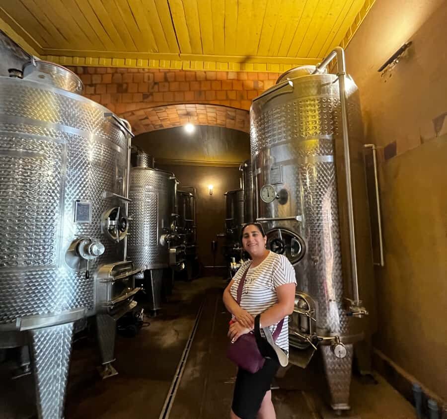 Must-sees of the Elqui Valley - Practical Aspects and Value