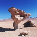 My best Uyuni Salt flats experience, 3 days-2 nights - What Makes This Tour Stand Out?