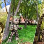 Mysteries of Cusco Huasao, Valle de los Duendes |Morada| - Practical Details: What to Expect