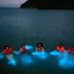 Mystic Waters A Bioluminescent Night Tour - Why This Tour Excels
