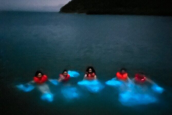 Mystic Waters A Bioluminescent Night Tour - Why This Tour Excels
