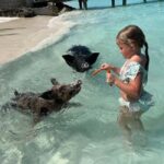 Nassau: 3 Islands Boat w/ Swimming Pigs, Snorkeling & Turtle - Who Will Enjoy This Tour Most?