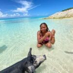 Nassau: 3 Islands Tour, Snorkel, Pig Beach, Turtles & Lunch - An In-Depth Look at Nassau’s 3 Islands Tour