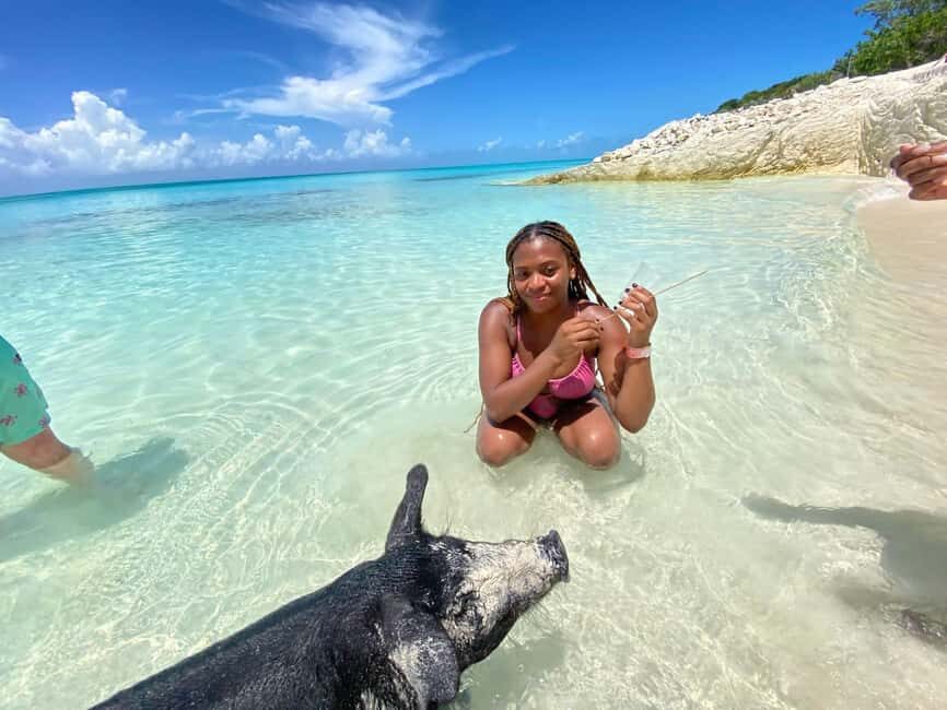 Nassau: 3 Islands Tour, Snorkel, Pig Beach, Turtles & Lunch - An In-Depth Look at Nassau’s 3 Islands Tour