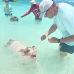 Nassau: 4-Island Tour Swimming Pigs, turtles, snorkeling - FAQ