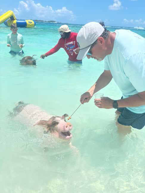 Nassau: 4-Island Tour Swimming Pigs, turtles, snorkeling - FAQ