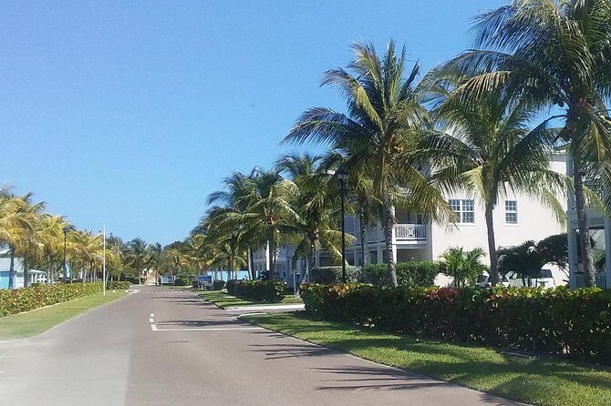 Nassau Airport to Palm Cay - group transportation in comfort