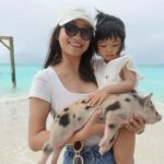 Nassau ATV & Swimming Pigs Tour - The Practical Details