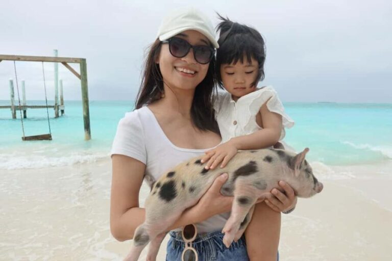 Nassau ATV & Swimming Pigs Tour - The Practical Details