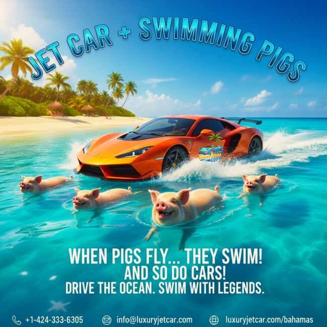 Nassau Bahamas: Jetcar Excursion to Pig Island Tour - Why This Tour Offers Great Value
