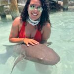 Nassau: Discover Exuma Island Hopping and Swimming Pigs Tour - The Itinerary in Detail