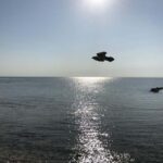 Nassau: Pearl Island Day Trip with Lunch and Snorkeling - Practical Details and Value