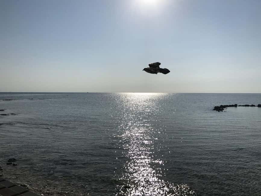 Nassau: Pearl Island Day Trip with Lunch and Snorkeling - Practical Details and Value