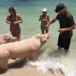 Nassau: Private Swim with Pigs and Snorkeling Adventure - Final Thoughts: The Authentic Bahamian Adventure