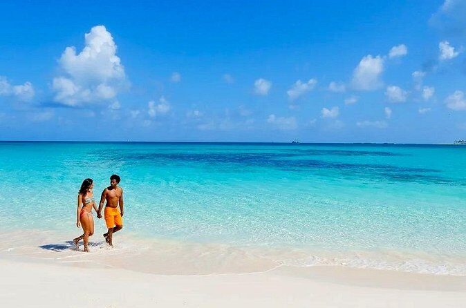 Nassau Private Swim with Pigs, Turtles and Snorkel Tour - Practical Considerations: Is This Tour for You?