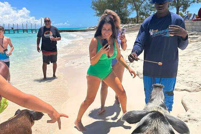 Nassau, Private Swimming Pig, Island Hopping, Snorkeling, Turtles